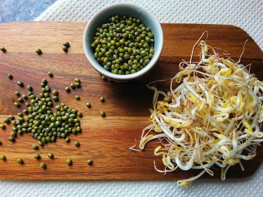 How I sprout mung&nbsp;beans